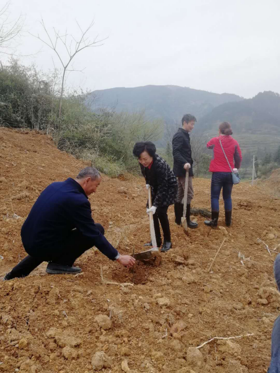 相约春天 播种绿色478.png