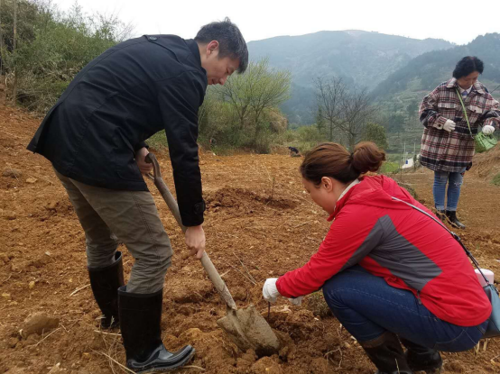 相约春天 播种绿色571.png