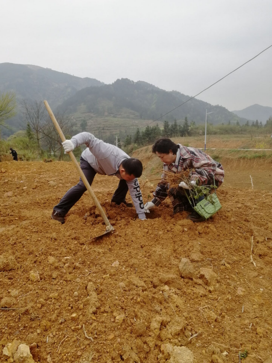 相约春天 播种绿色525.png