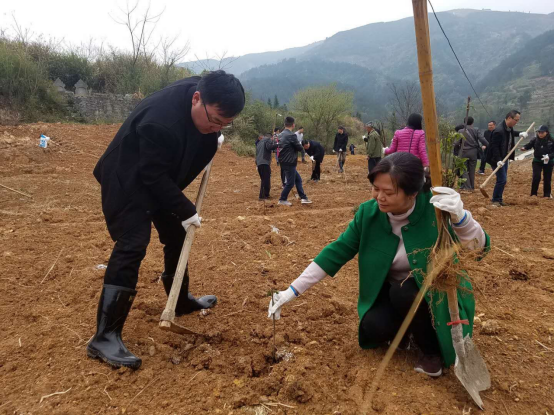 相约春天 播种绿色547.png